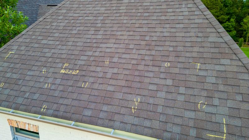 Asphalt Roof Inspection detail